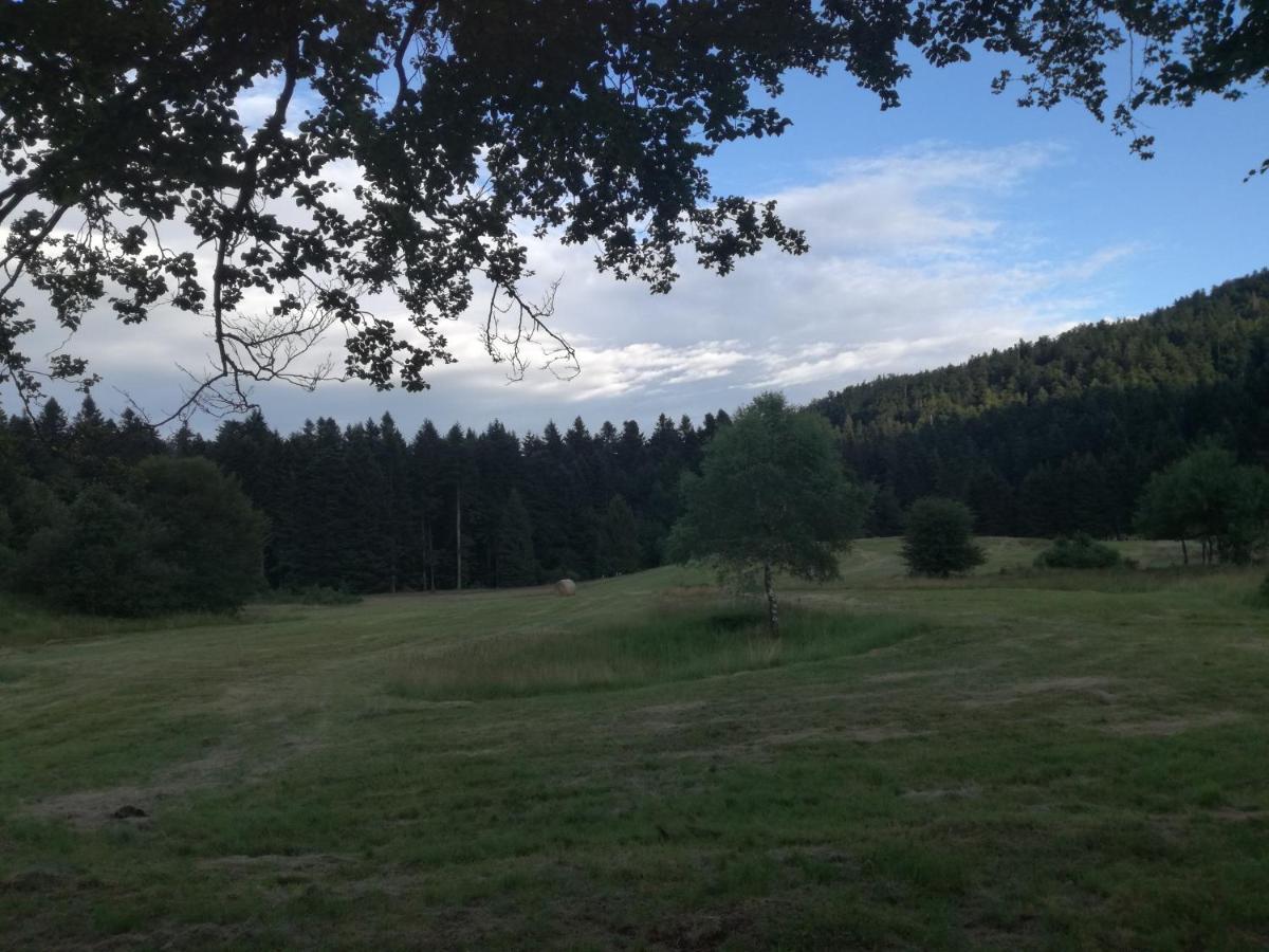 Kuca Za Odmor "Jasna" Appartement Crni Lug Buitenkant foto