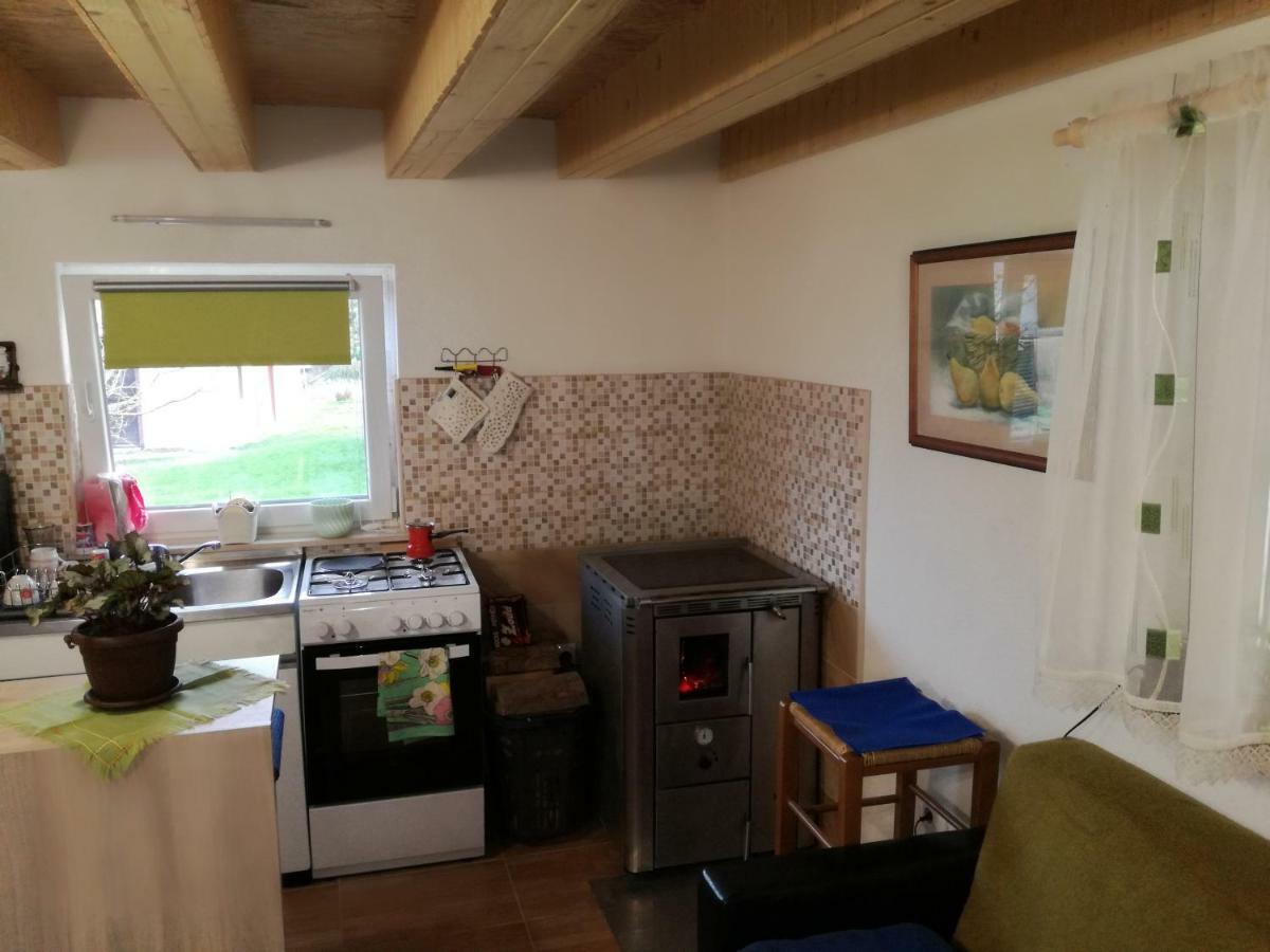 Kuca Za Odmor "Jasna" Appartement Crni Lug Buitenkant foto